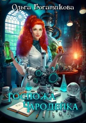 Госпожа чародейка — обложка книги