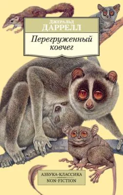Перегруженный ковчег — обложка книги