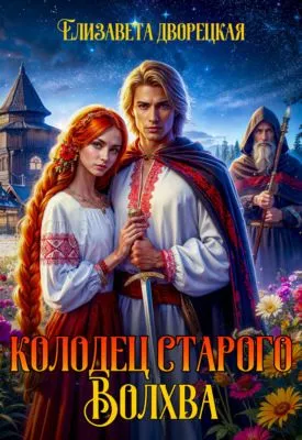 Колодец старого волхва — обложка книги