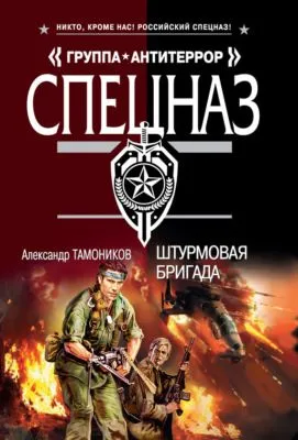 Штурмовая бригада — обложка книги