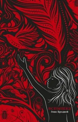 Вспышка — обложка книги