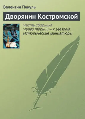 Дворянин Костромской — обложка книги