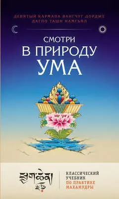 Смотри в природу ума. Классический учебник по практике Махамудры — обложка книги