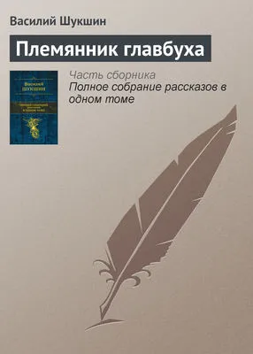 Племянник главбуха — обложка книги