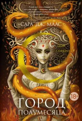 Дом Пламени и Тени — обложка книги