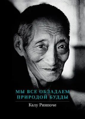 Мы все обладаем природой Будды — обложка книги