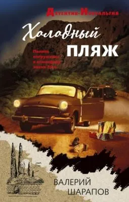 Холодный пляж — обложка книги