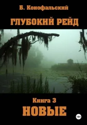 Глубокий рейд. Книга 3. НОВЫЕ — обложка книги