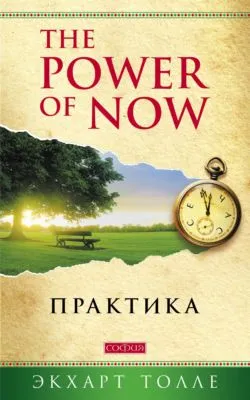 The Power of Now. Практика — обложка книги