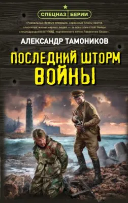 Последний шторм войны — обложка книги