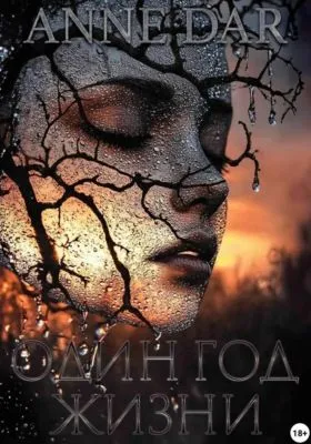 Один год жизни — обложка книги