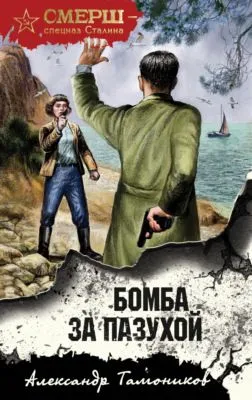 Бомба за пазухой — обложка книги
