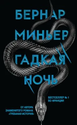 Гадкая ночь — обложка книги