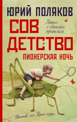 Совдетство. Пионерская ночь — обложка книги