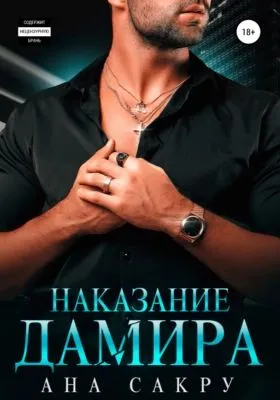 Наказание Дамира — обложка книги