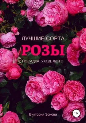 Розы. Лучшие сорта — обложка книги