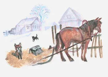 Невозвратные годы — обложка книги
