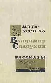 Мать-мачеха — обложка книги