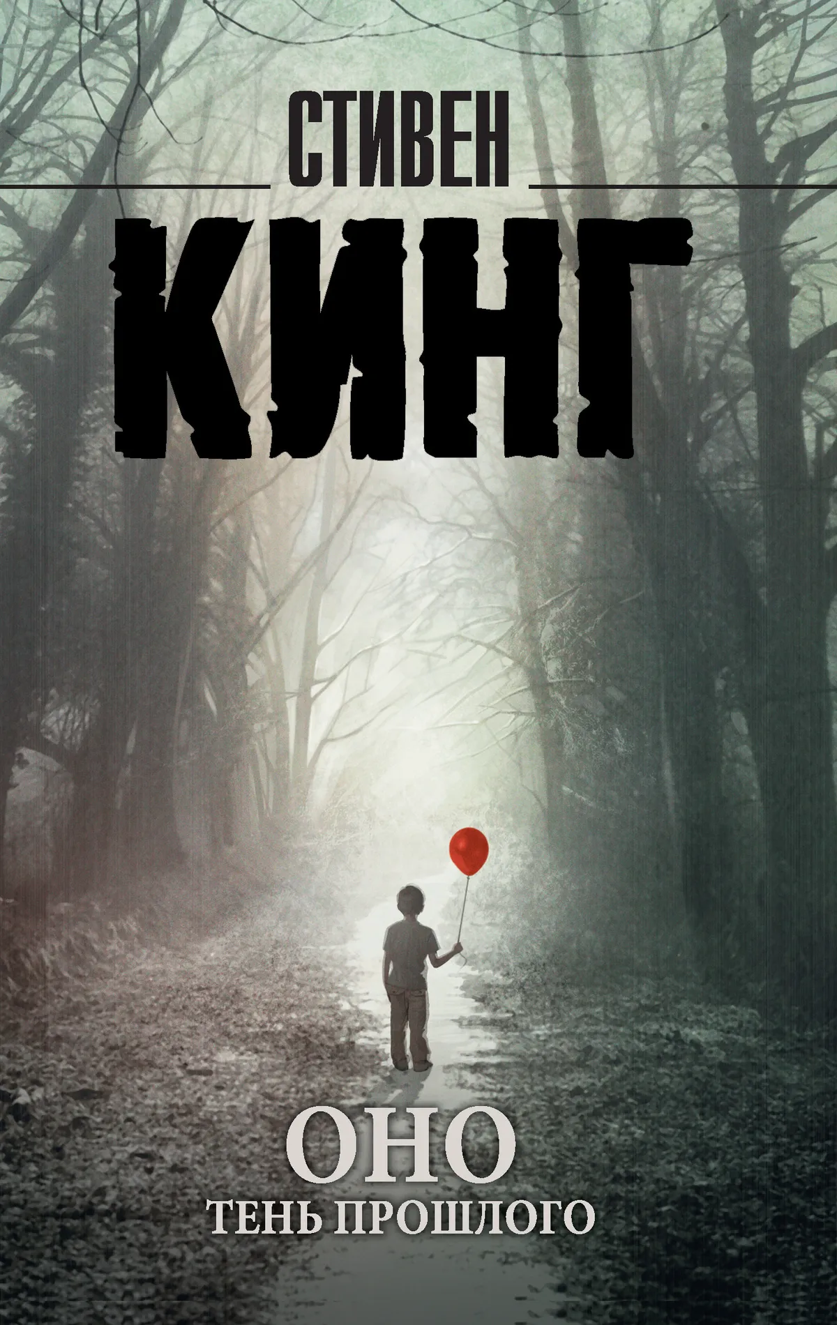 Тень прошлого — обложка книги