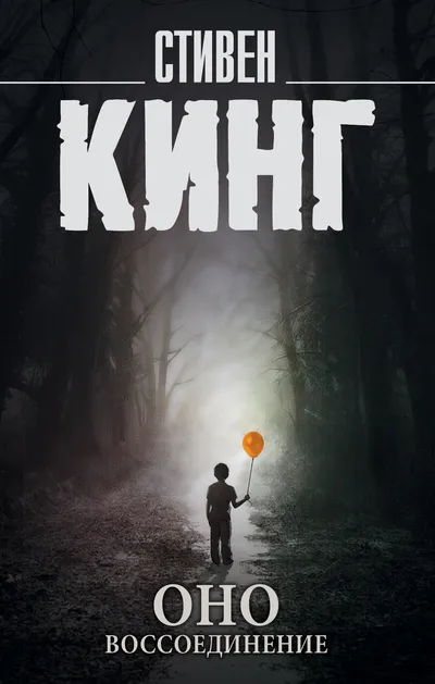 Воссоединение — обложка книги