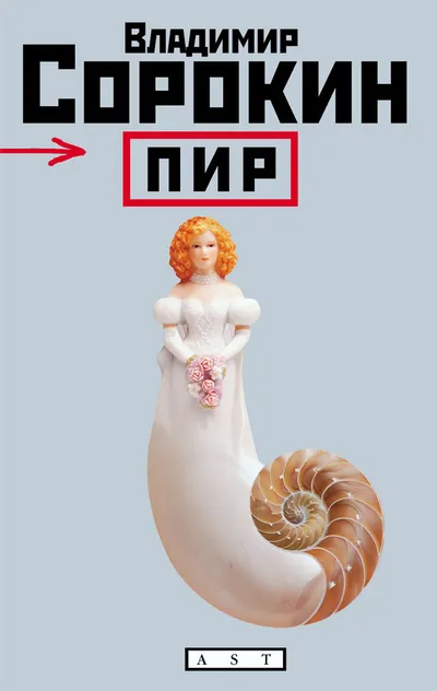 Настя — обложка книги