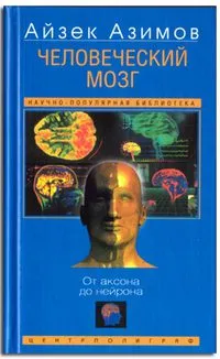 Человеческий мозг — обложка книги