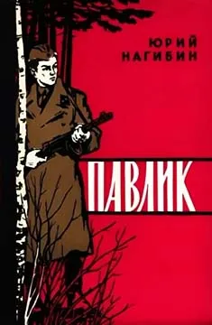 Павлик — обложка книги