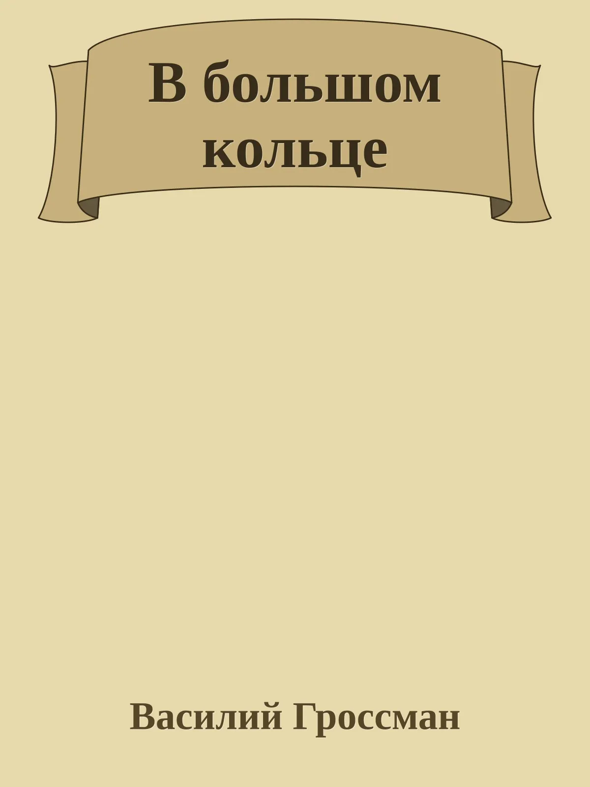В большом кольце — обложка книги