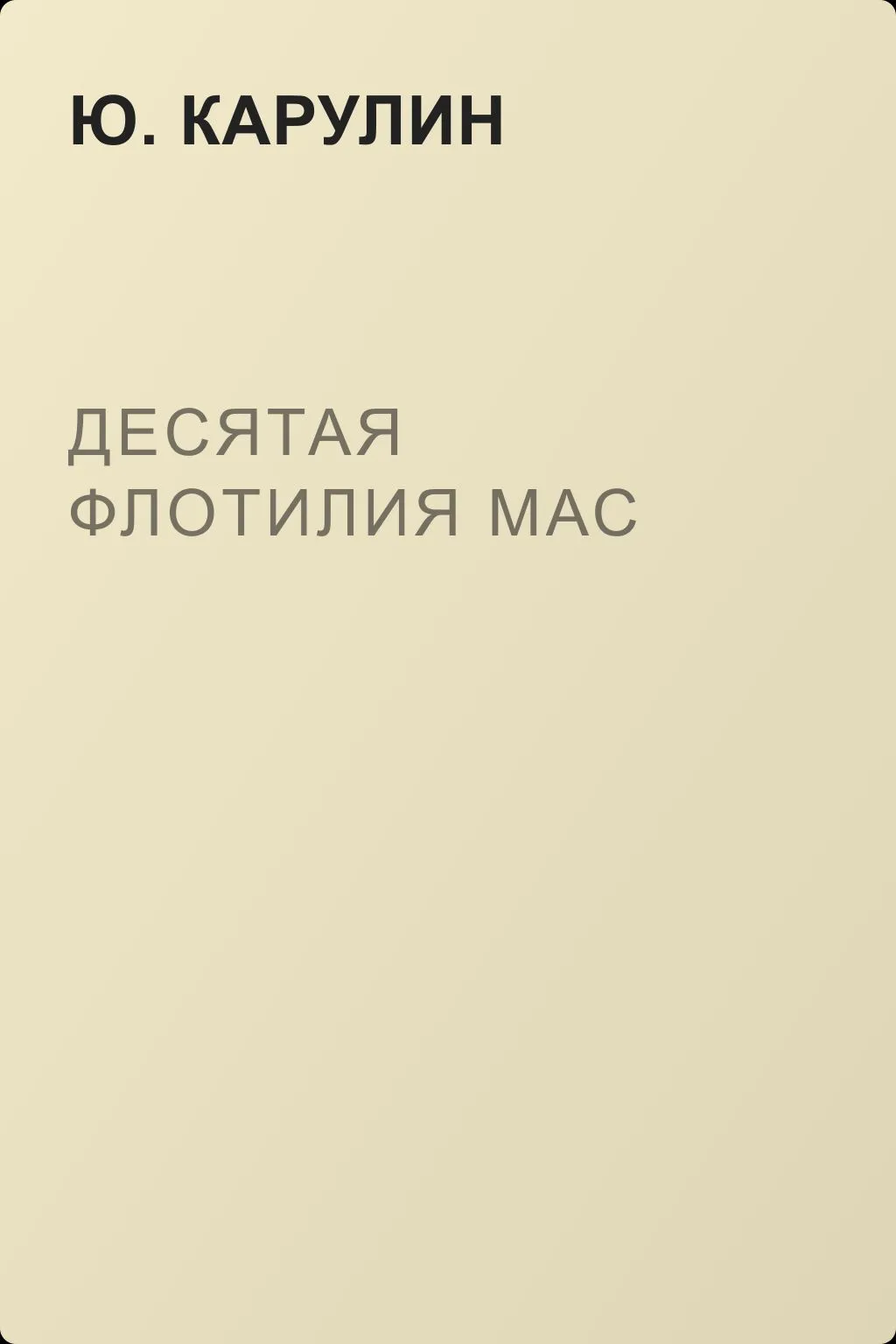 Десятая флотилия МАС — обложка книги