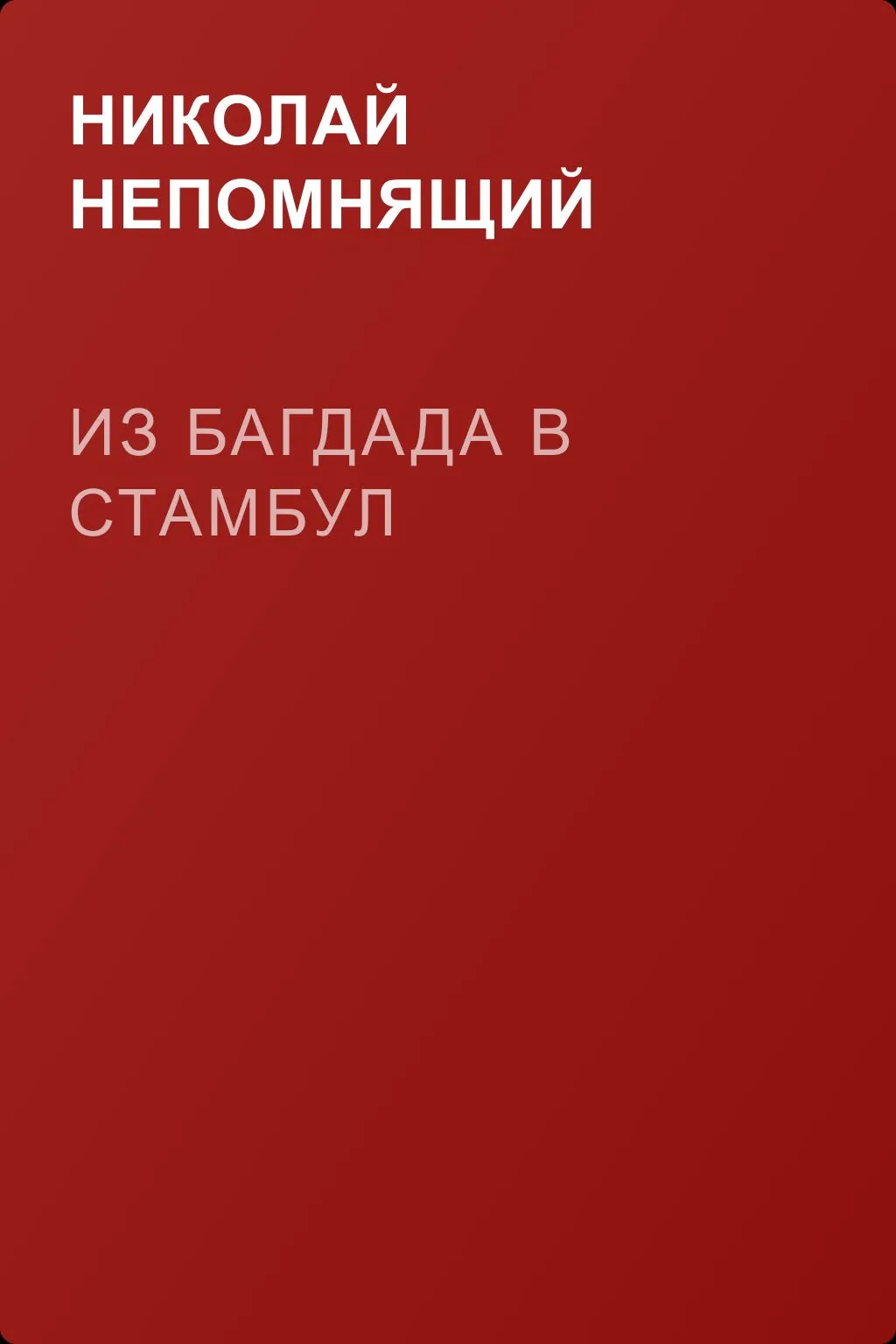 Из Багдада в Стамбул — обложка книги