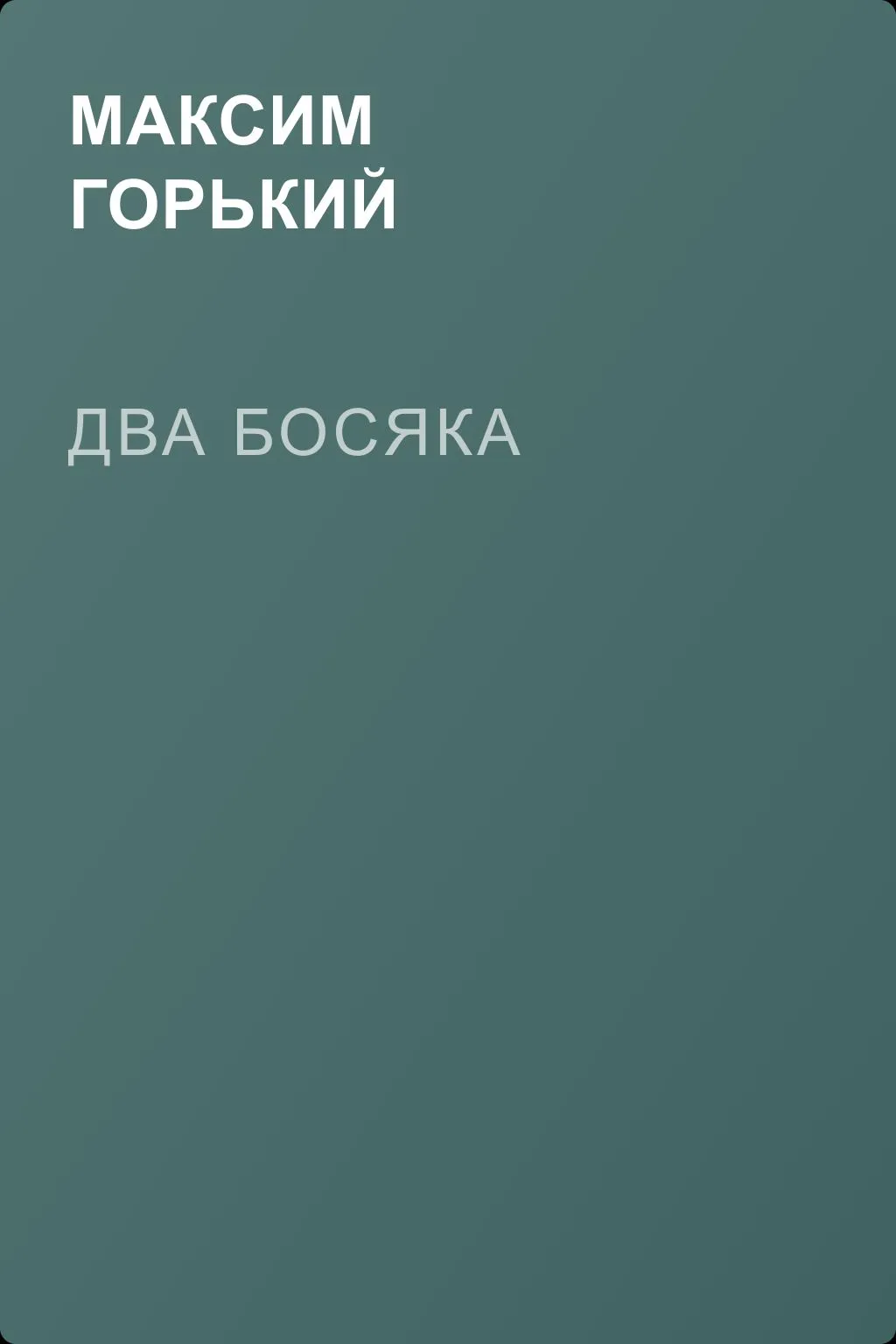 Два босяка — обложка книги
