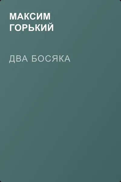 Два босяка — обложка книги