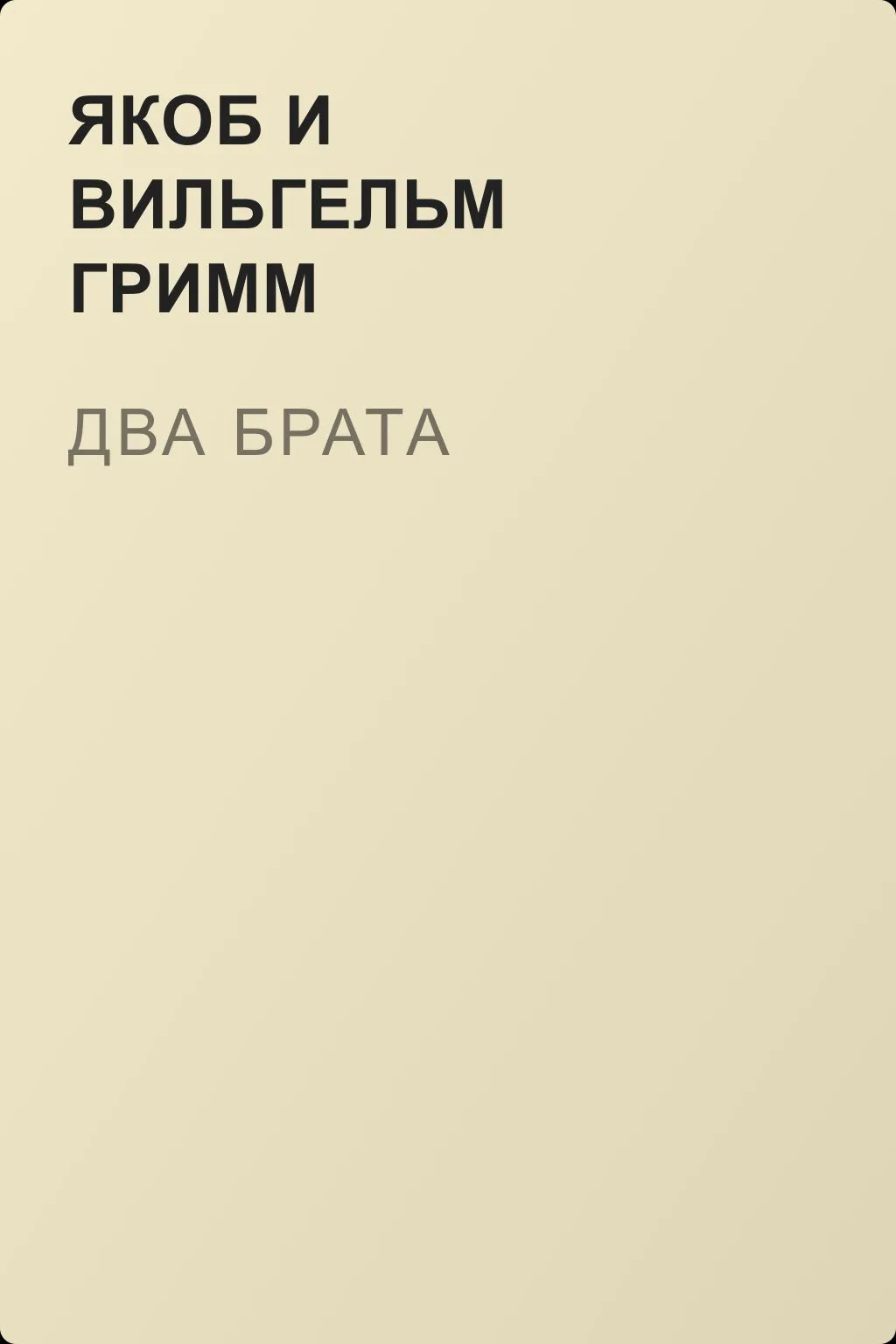 Два брата — обложка книги
