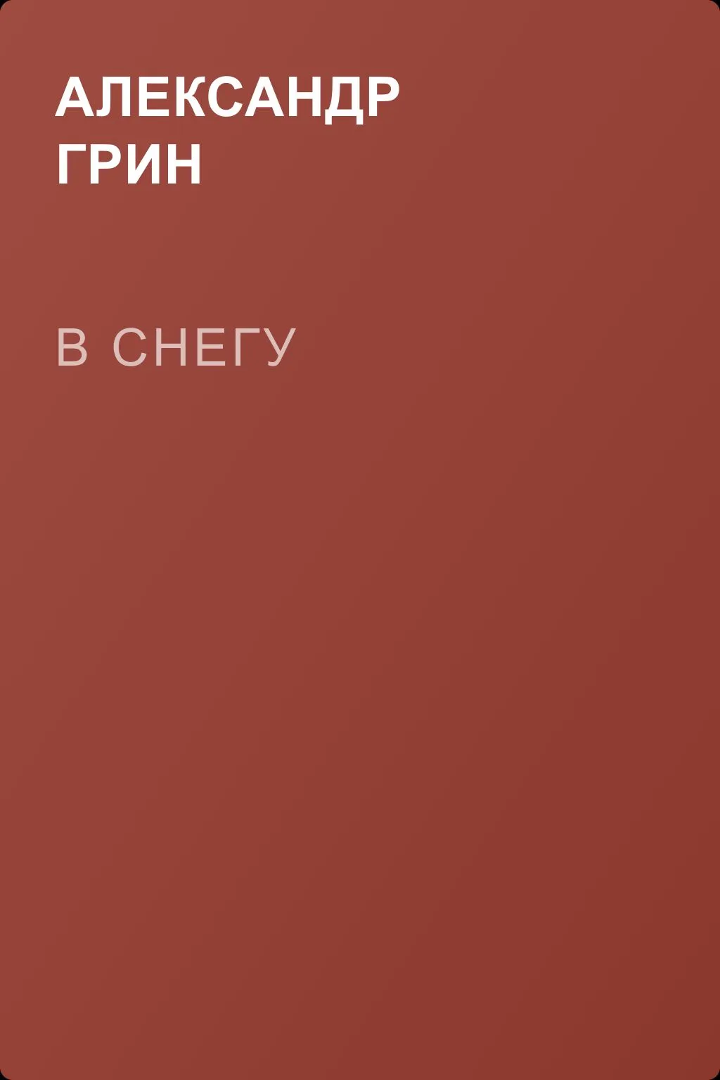 В снегу — обложка книги