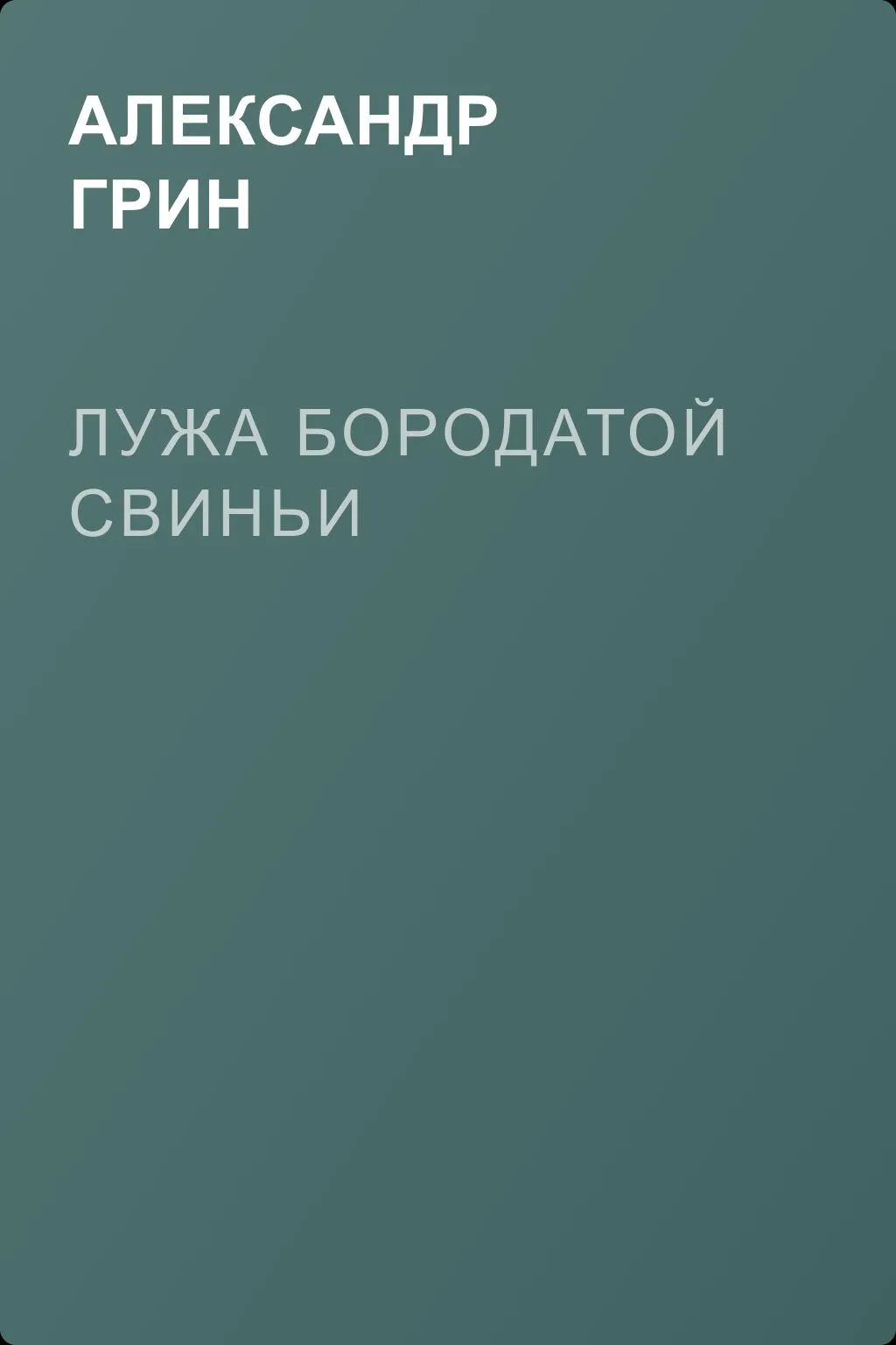 Лужа Бородатой Свиньи — обложка книги