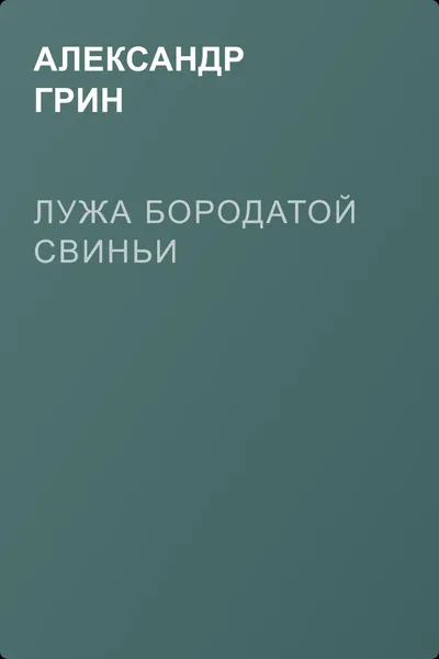 Лужа Бородатой Свиньи — обложка книги