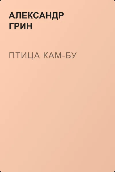 Птица Кам-Бу — обложка книги