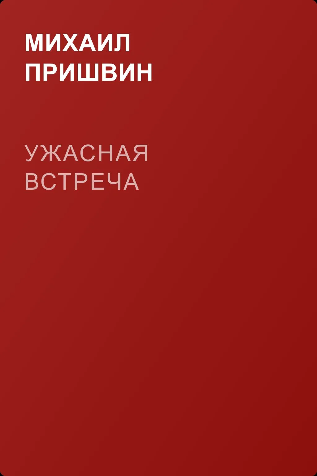 Ужасная встреча — обложка книги