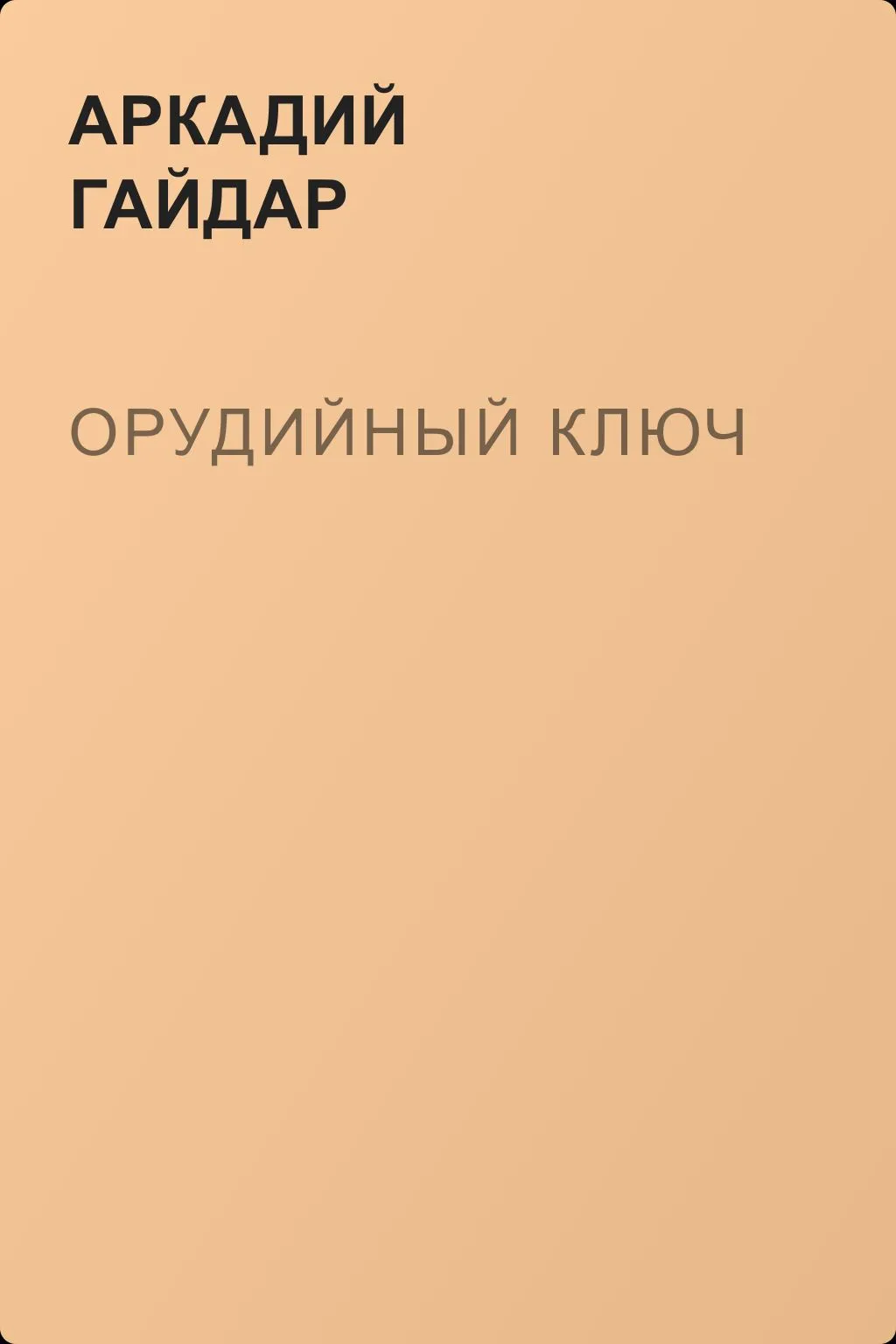 Орудийный ключ — обложка книги