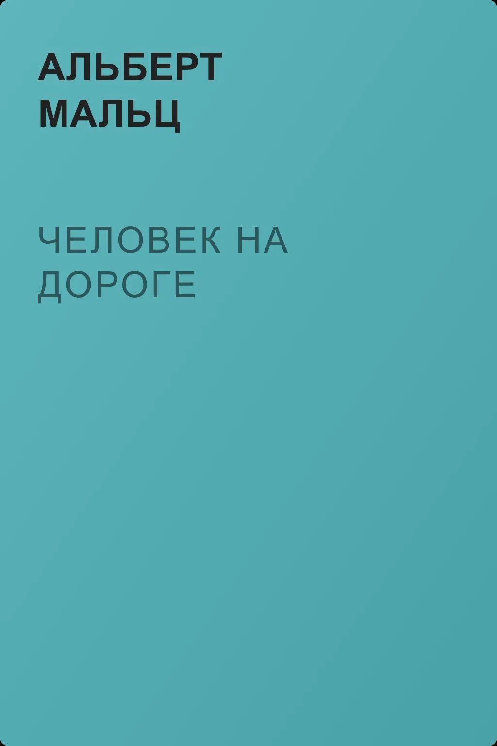 Человек на дороге — обложка книги