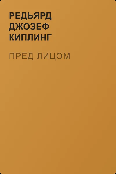 Пред лицом — обложка книги