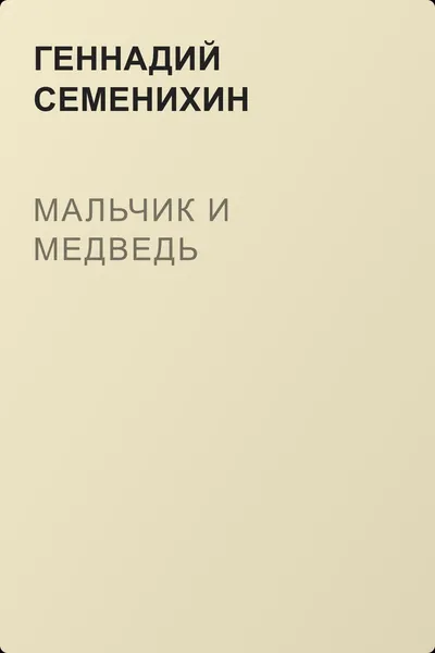 Мальчик и медведь — обложка книги