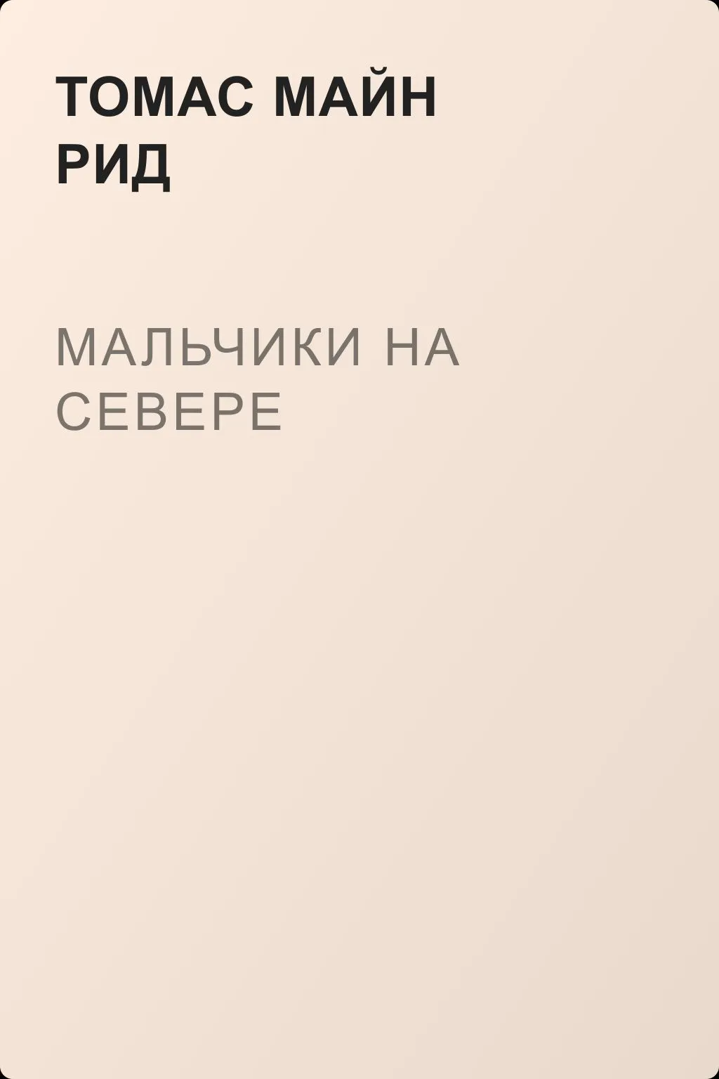 Мальчики на севере — обложка книги