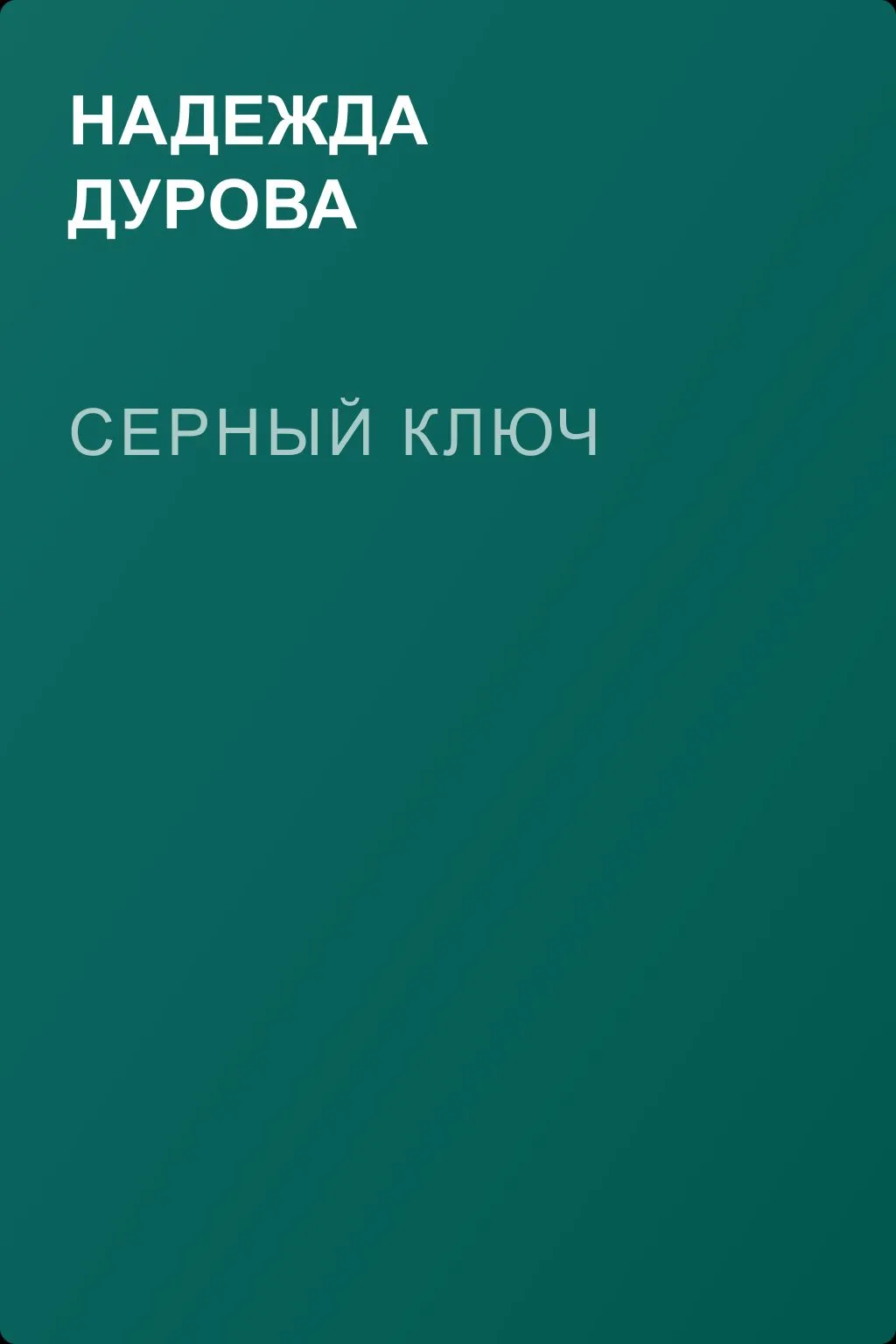 Серный ключ — обложка книги
