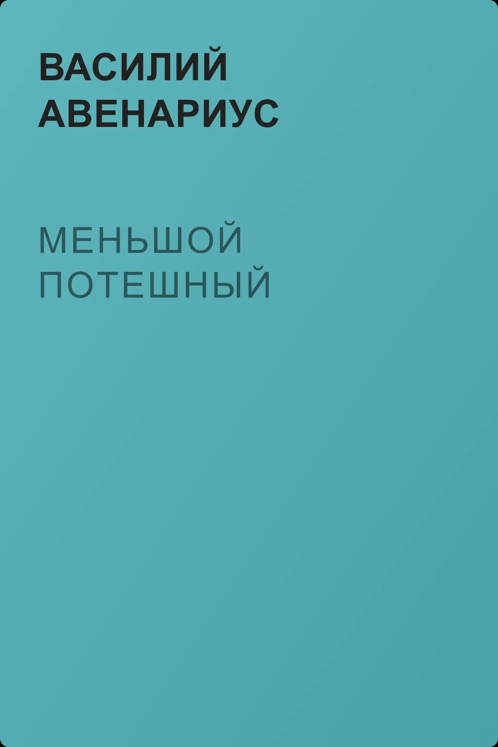 Меньшой потешный — обложка книги