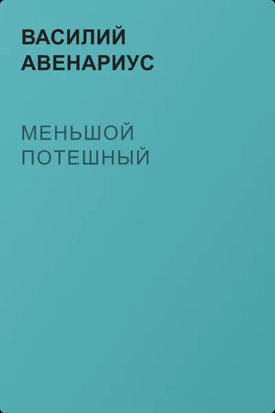 Меньшой потешный — обложка книги