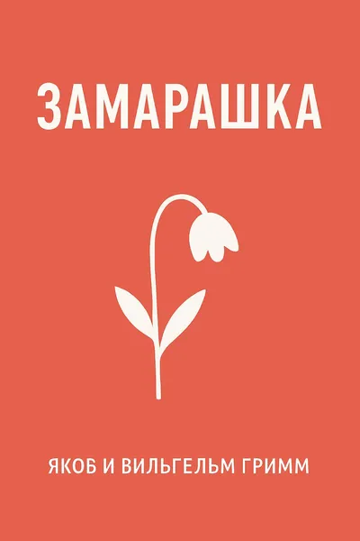 Замарашка — обложка книги