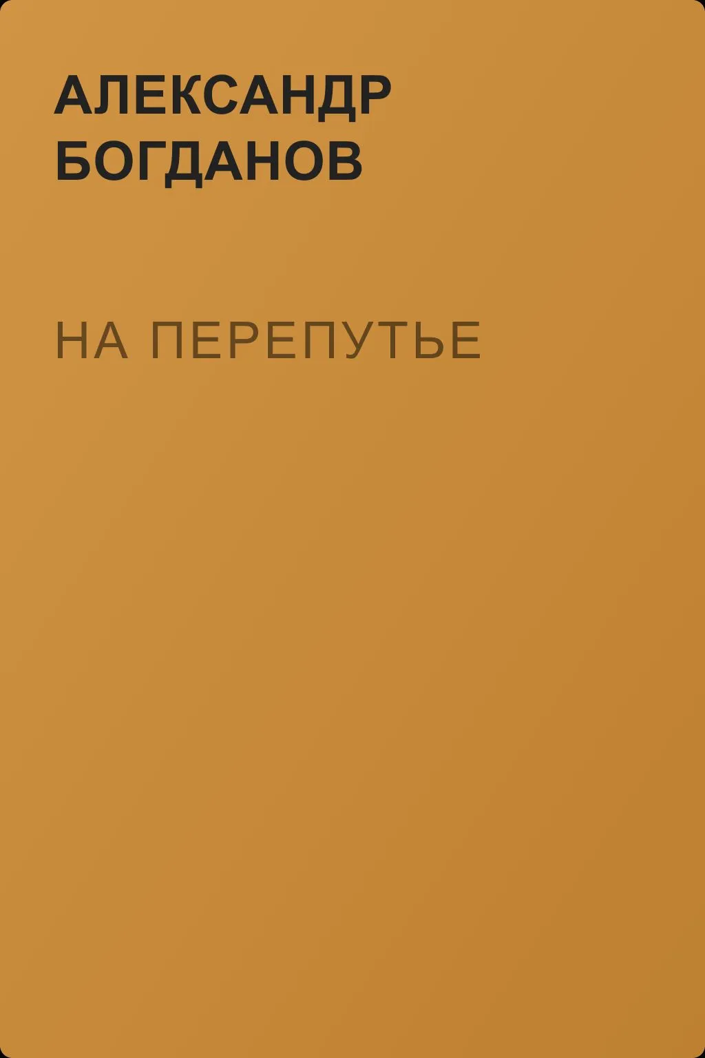 На перепутье — обложка книги