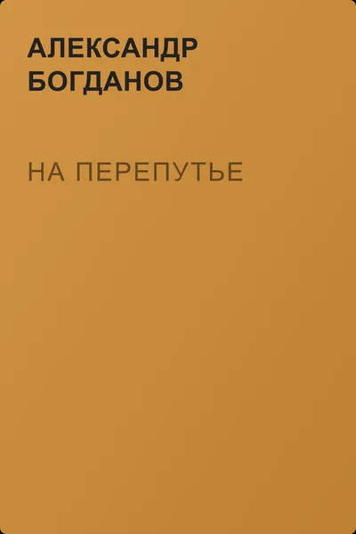 На перепутье — обложка книги