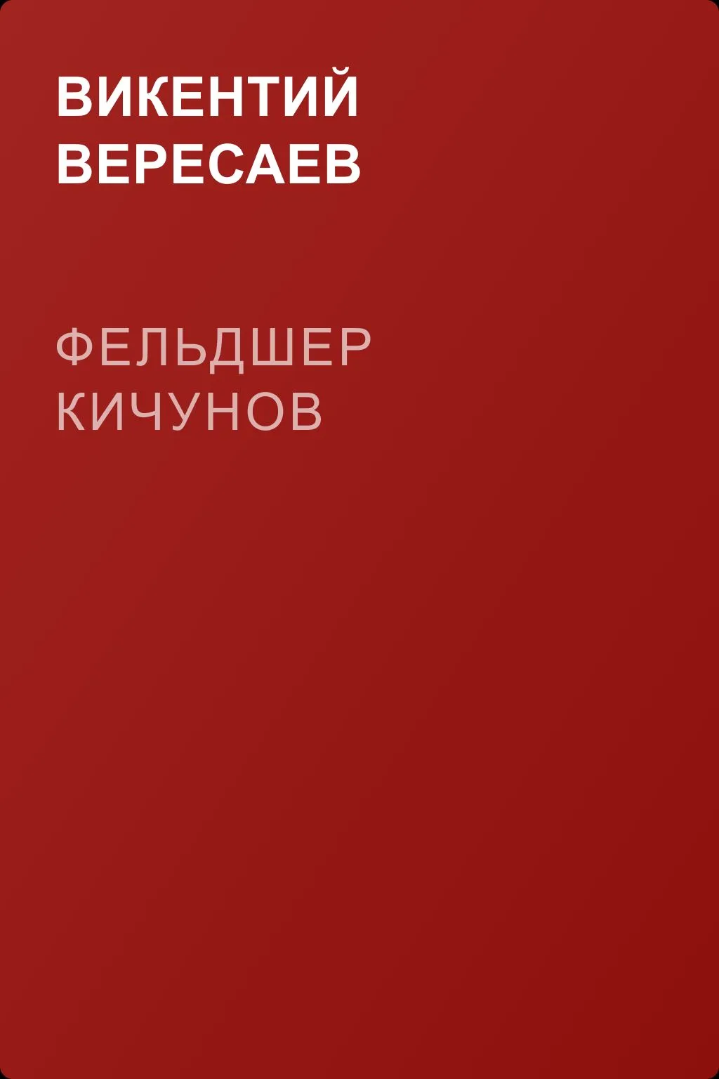Фельдшер Кичунов — обложка книги